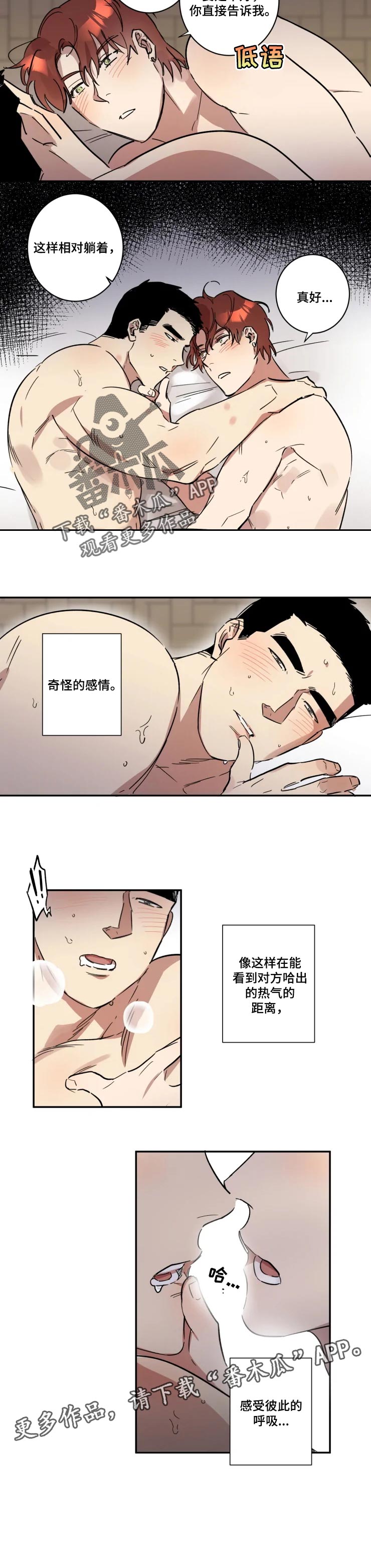 第37章：奇怪的感情4