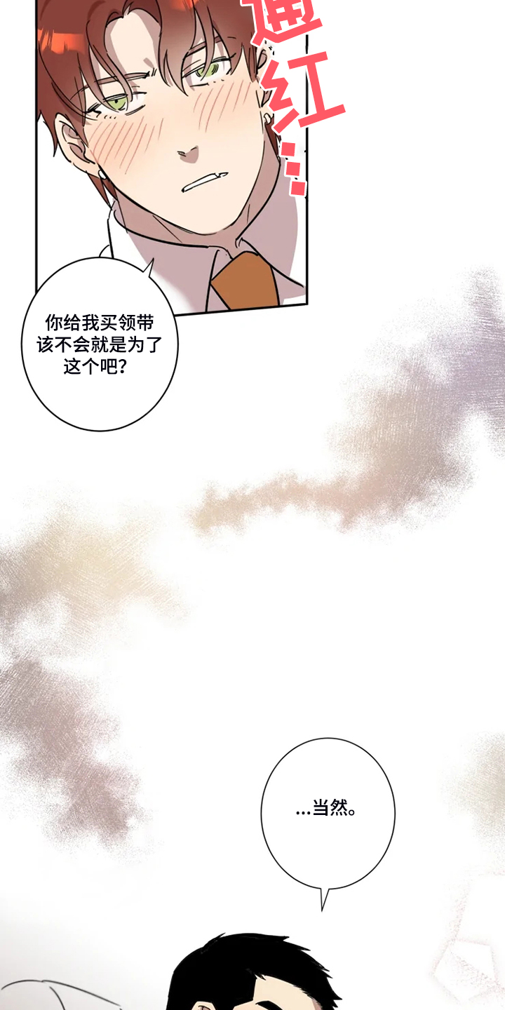 第53章：【完结】领带的作用12