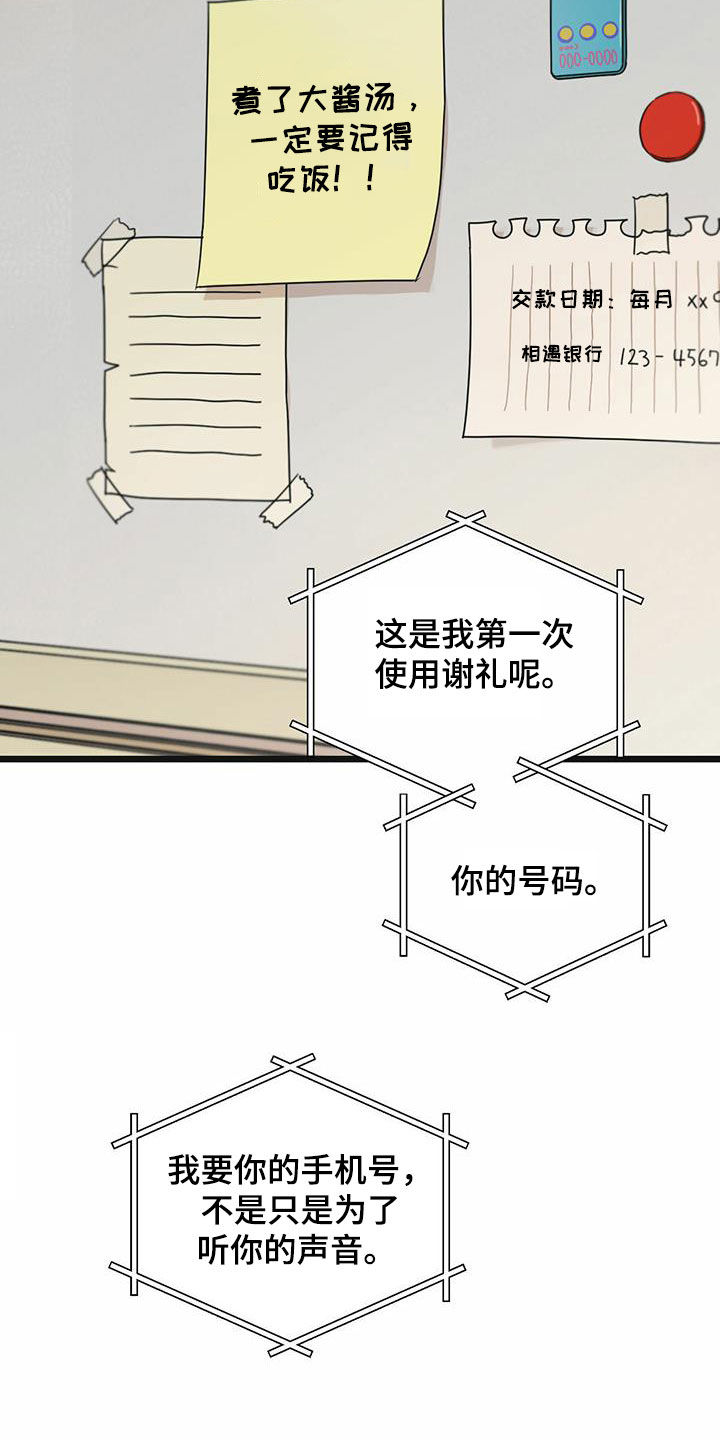 第41章：条件6