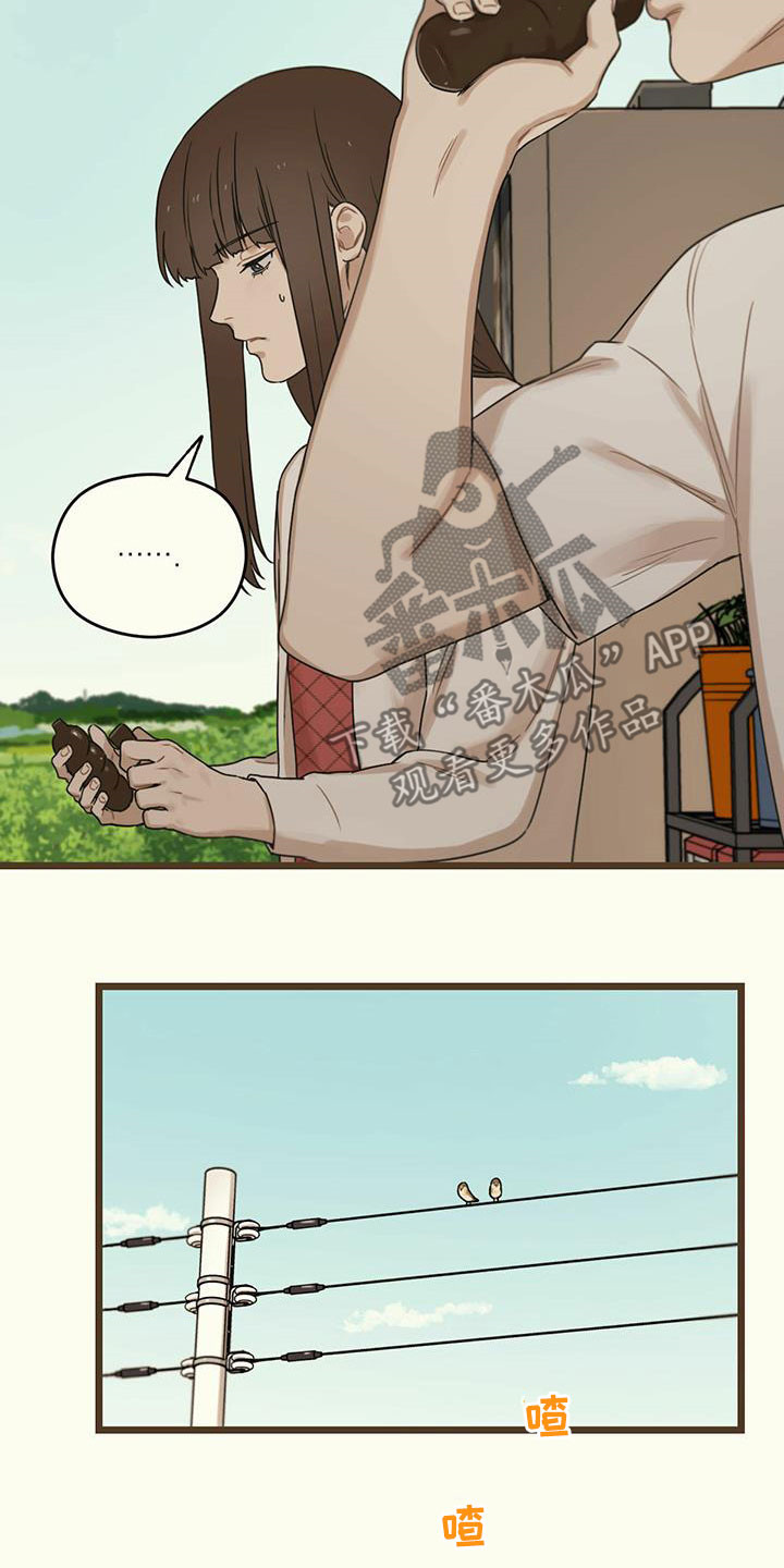 第45章：讽刺11
