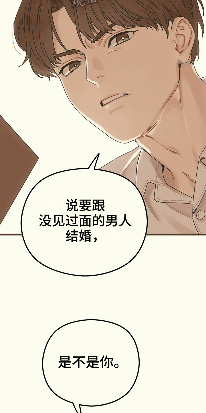 第13章：慌张13
