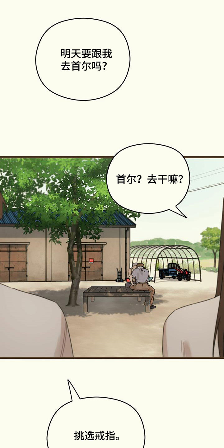 第45章：讽刺12