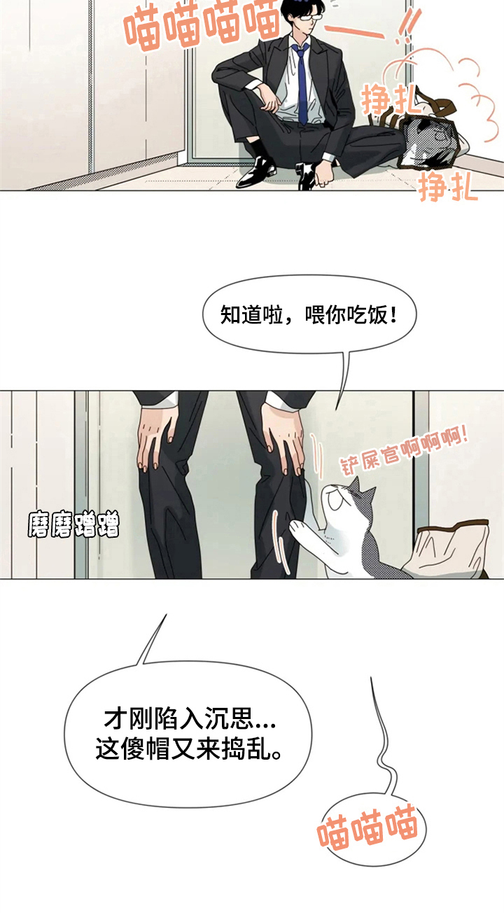 第3章：重逢6