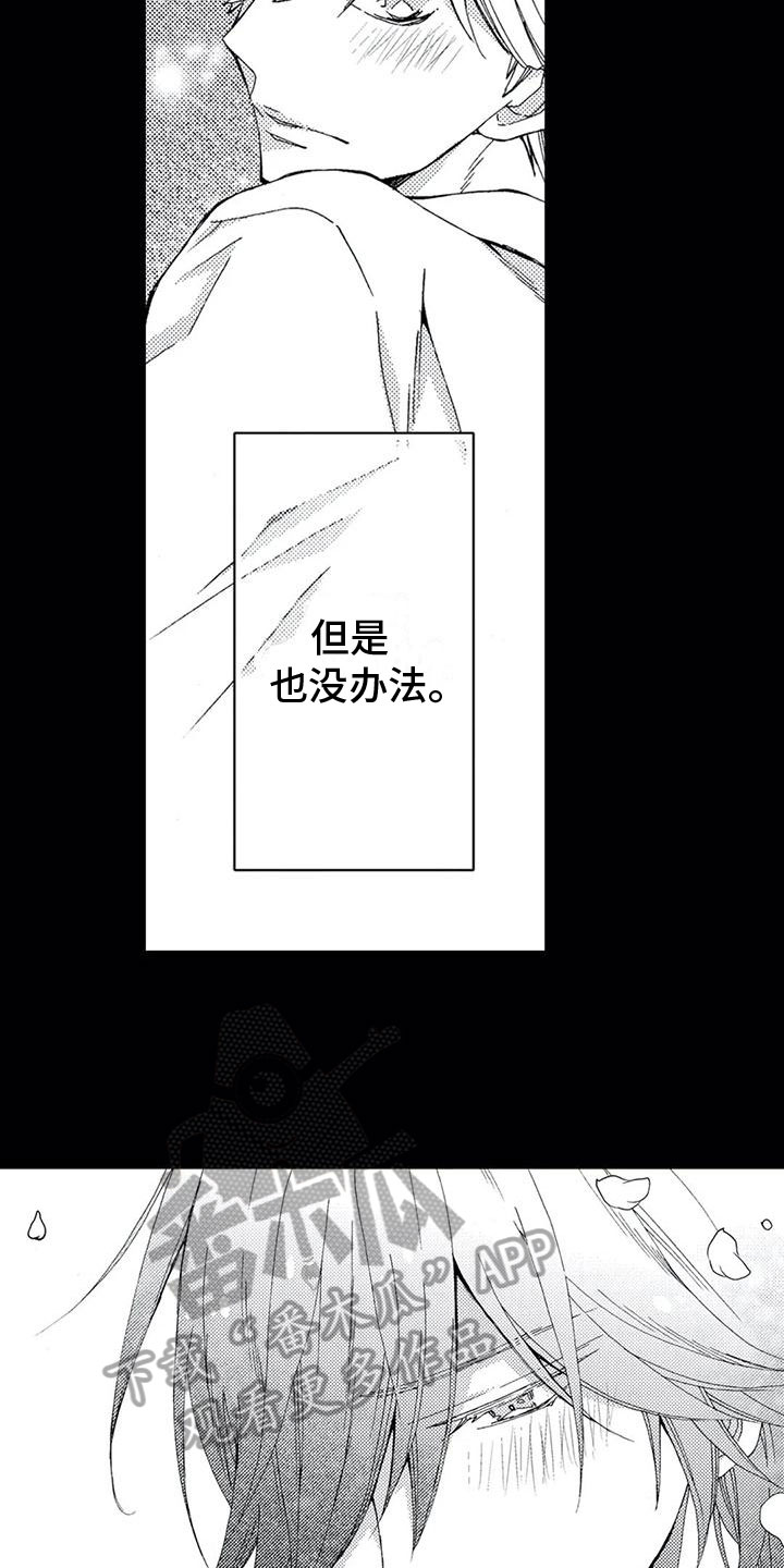 第13章：机会5