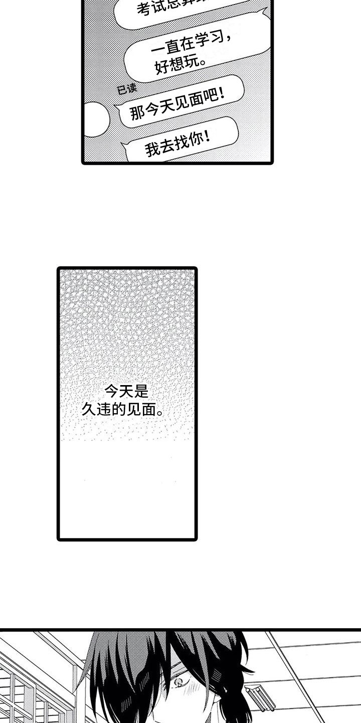 第14章：进入内心15