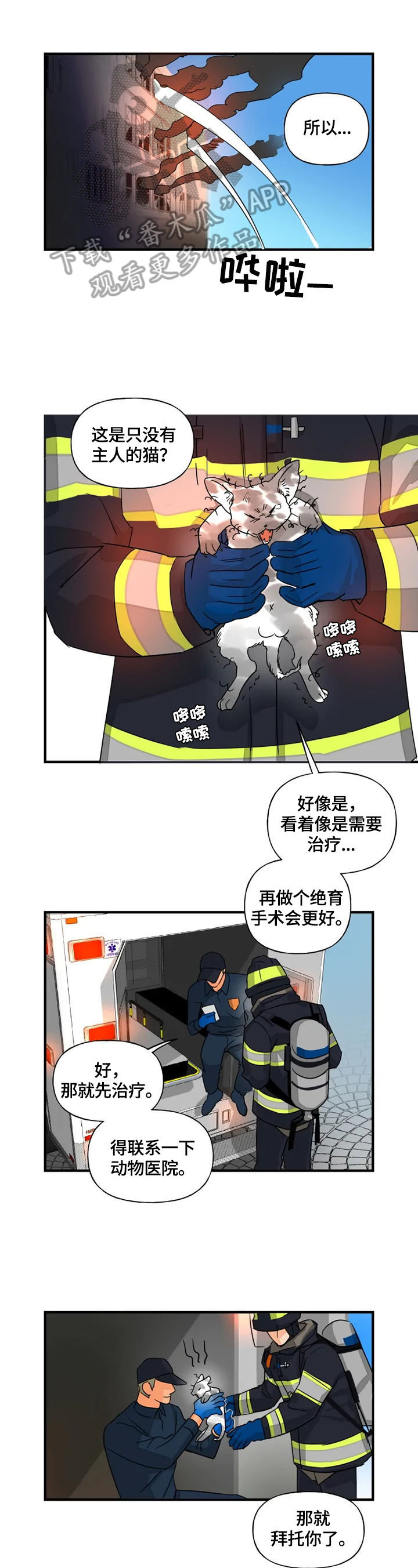 第12章：取名0