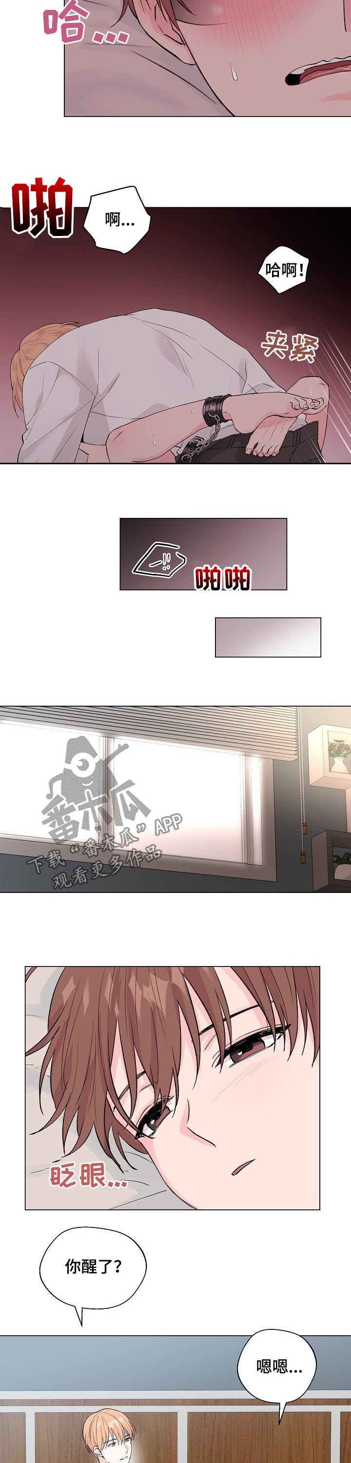 第100章：番外：不该打开的门（完结）5