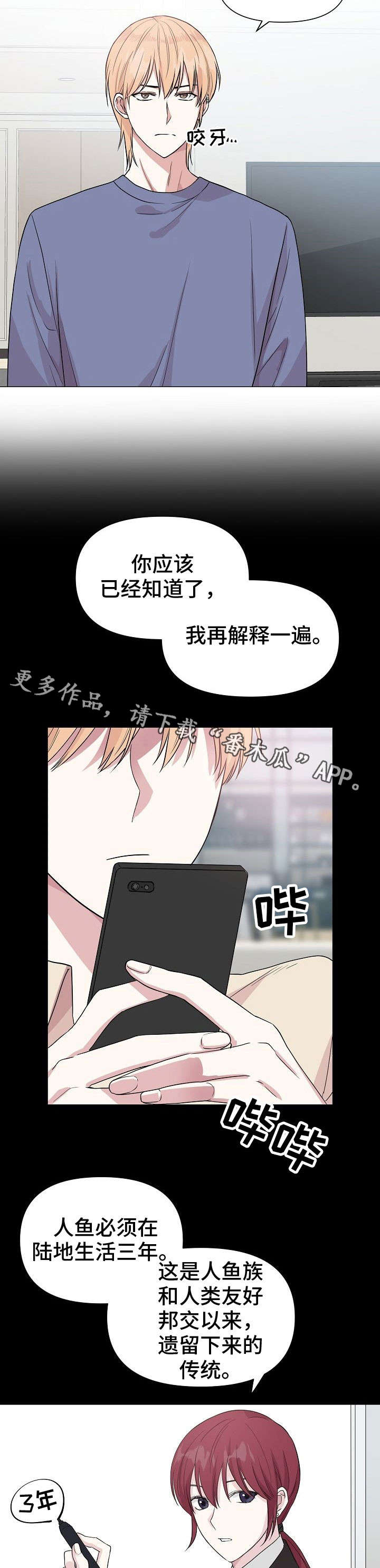 第24章：警告6