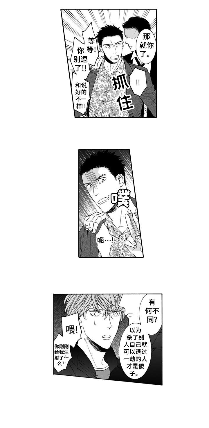 第19章：护6