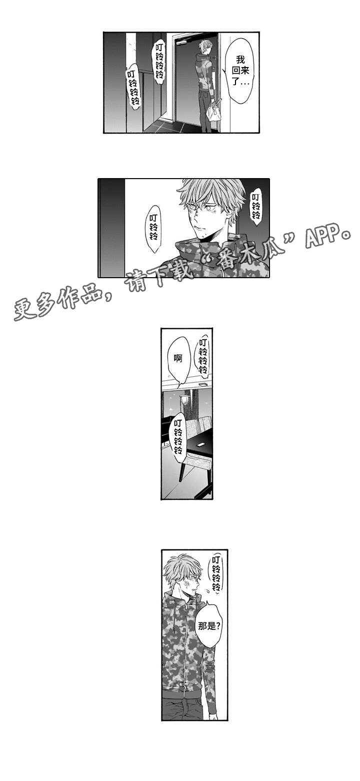 第8章：运动鞋6