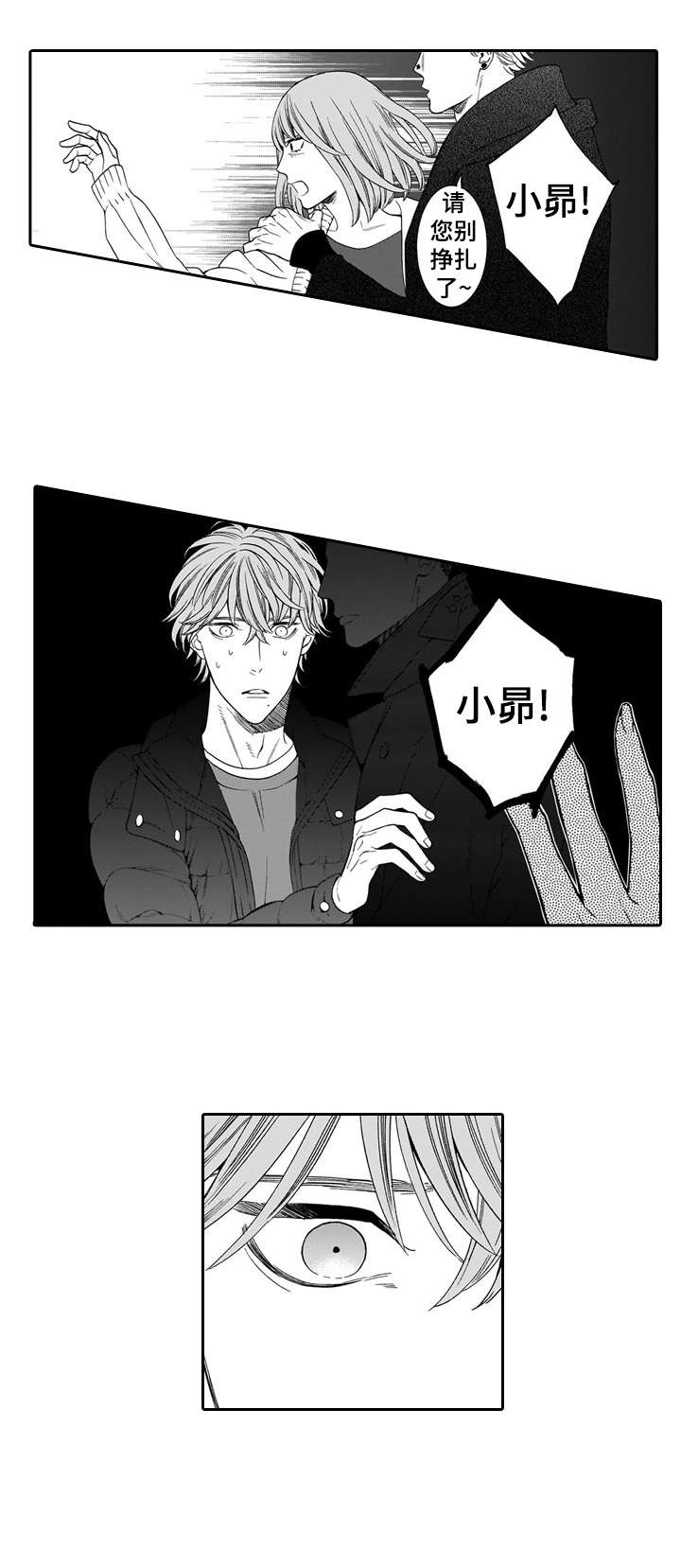 第19章：护8