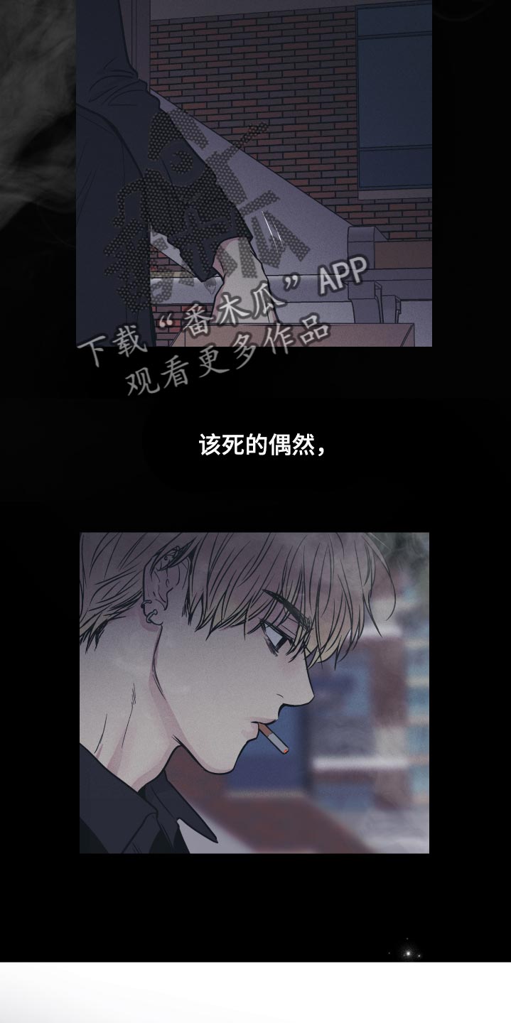 第98章：缘分19