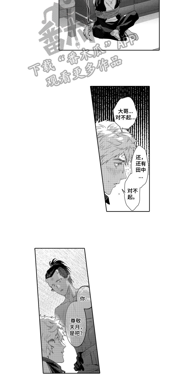 第15章：目的3