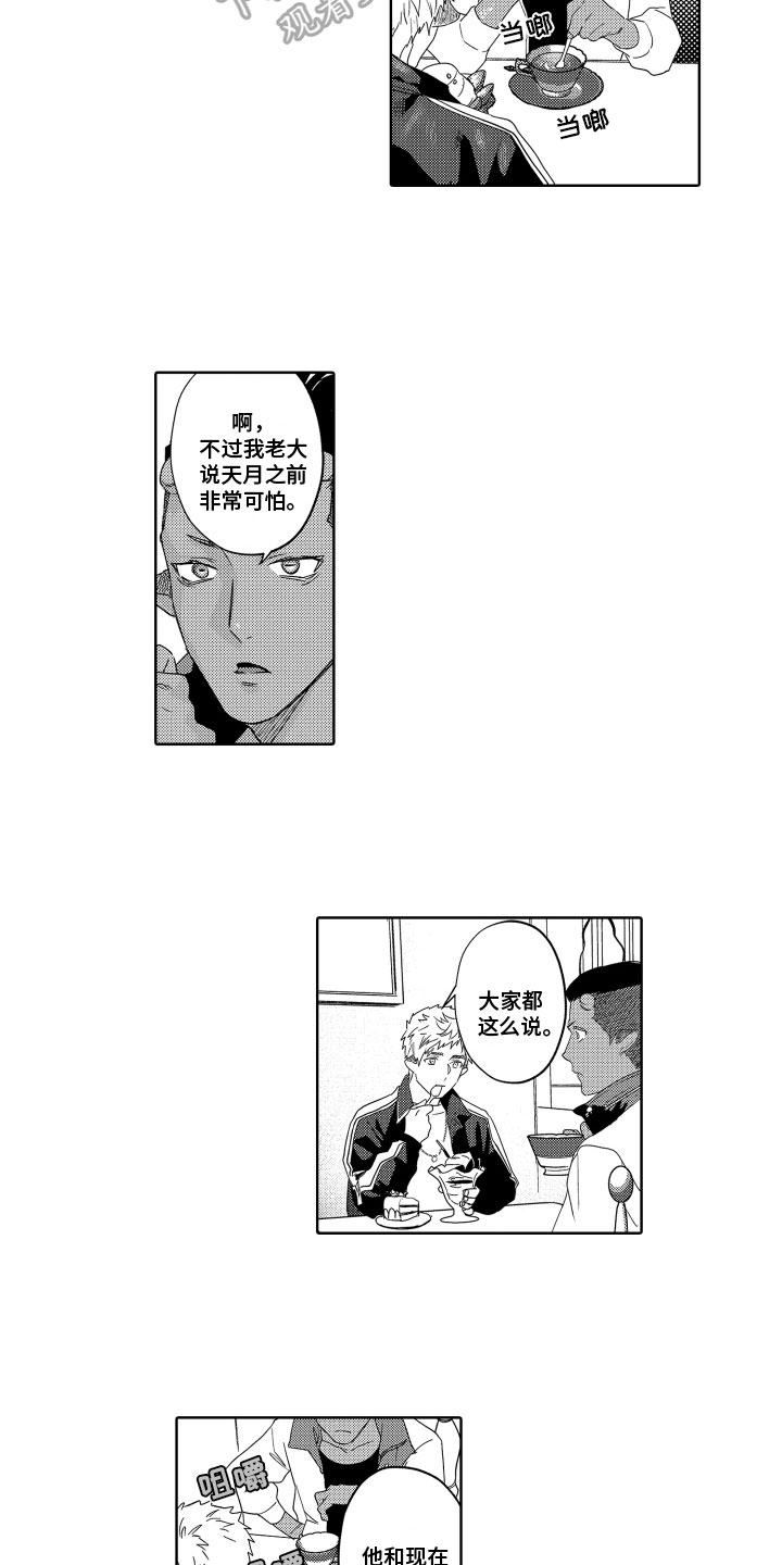 第18章：建议4