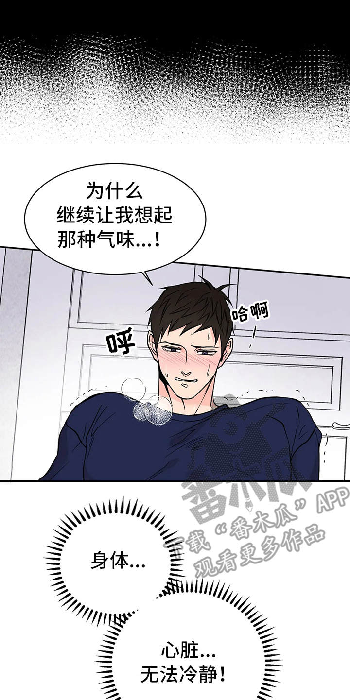 第12章：气味20