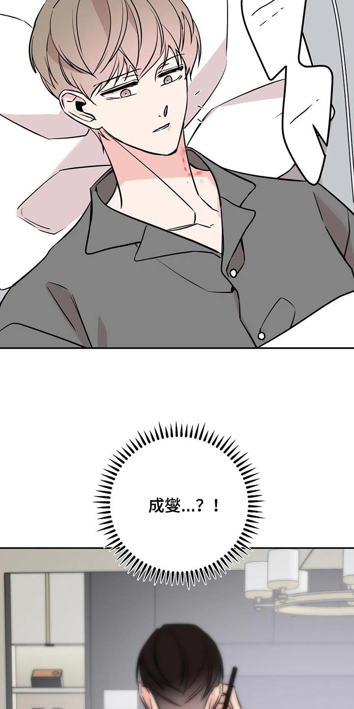 第86章：执行12