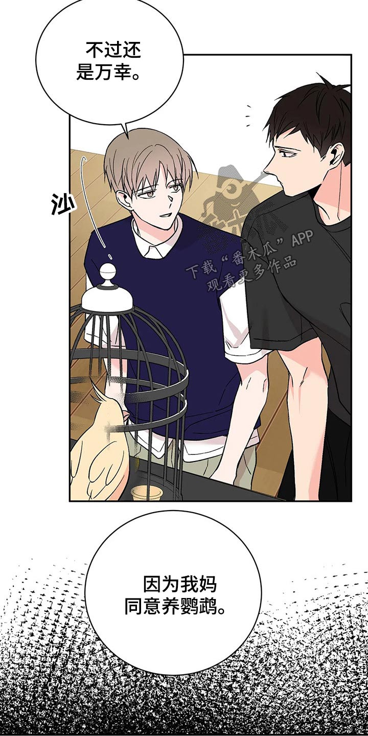 第30章：鹦鹉11
