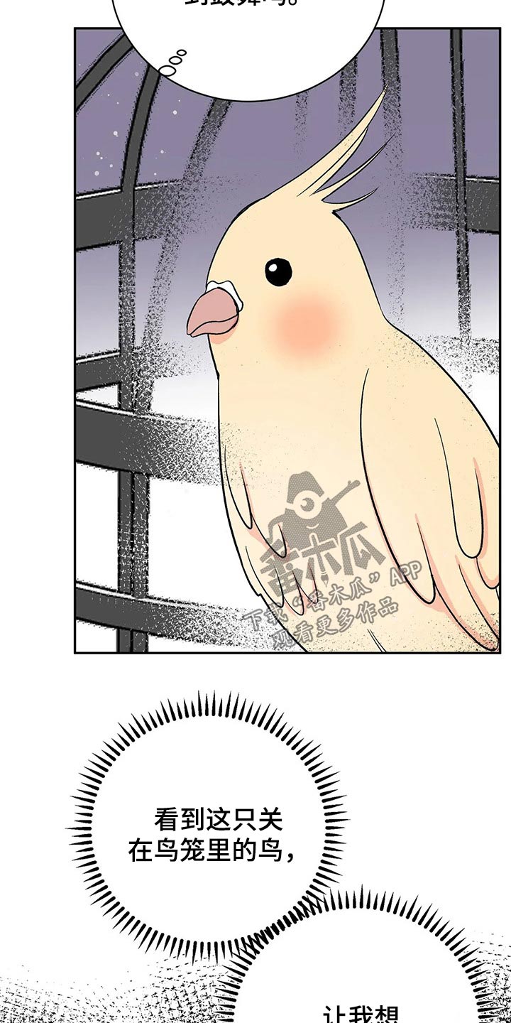 第30章：鹦鹉6