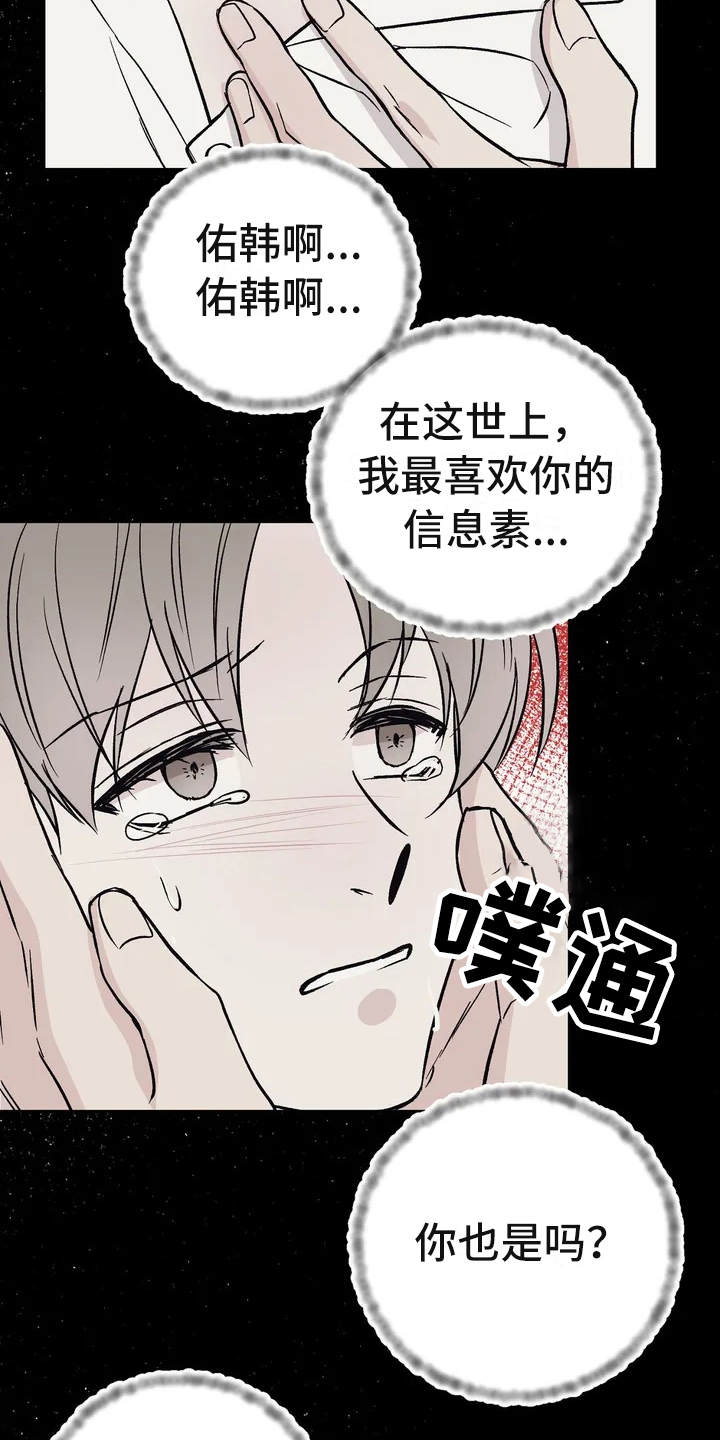 第3章：信息素21