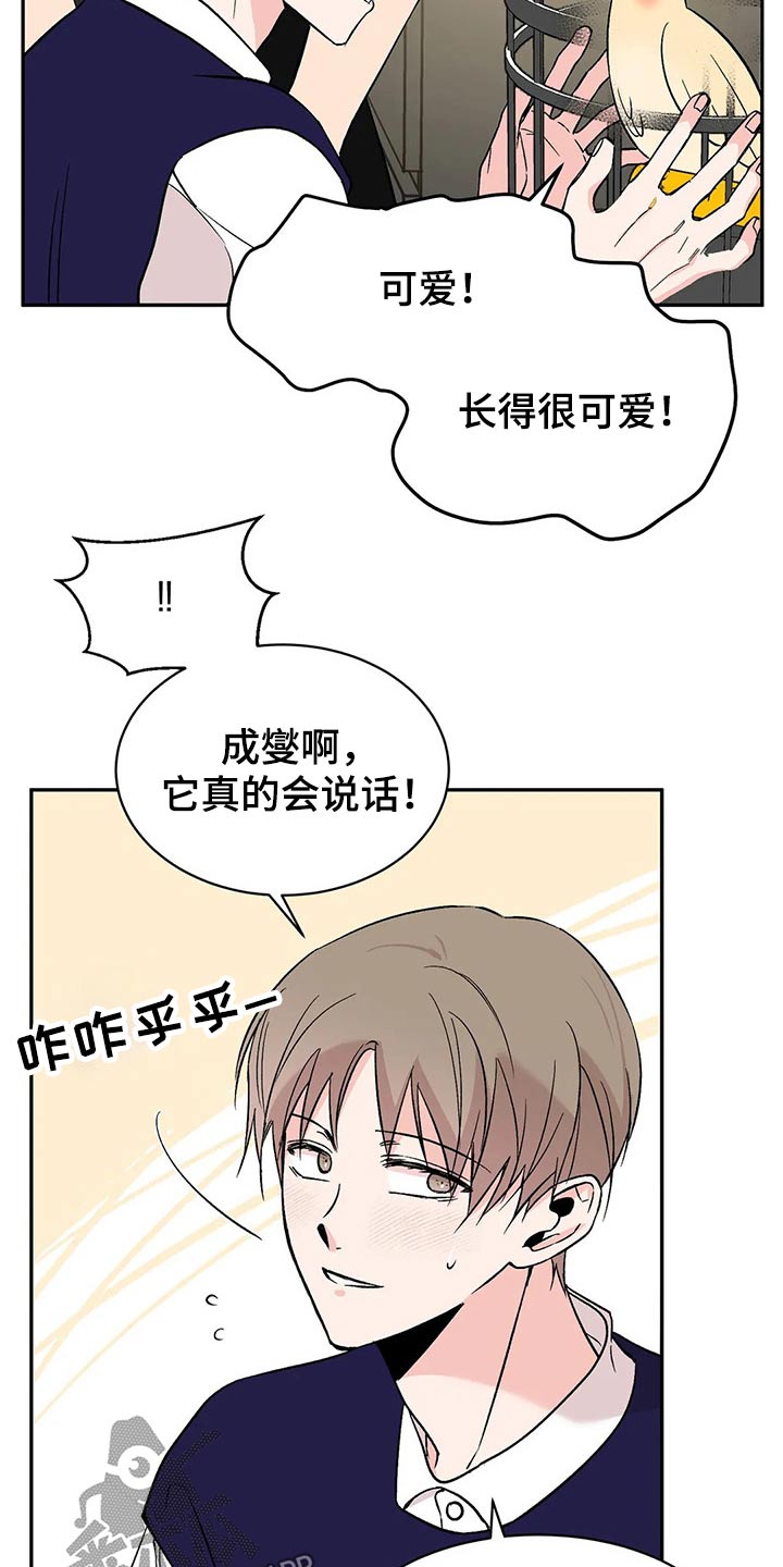 第30章：鹦鹉15