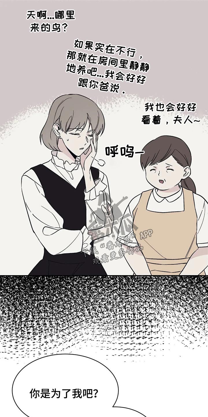 第30章：鹦鹉12