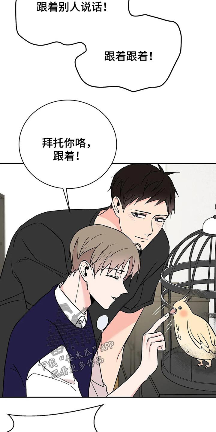 第30章：鹦鹉17