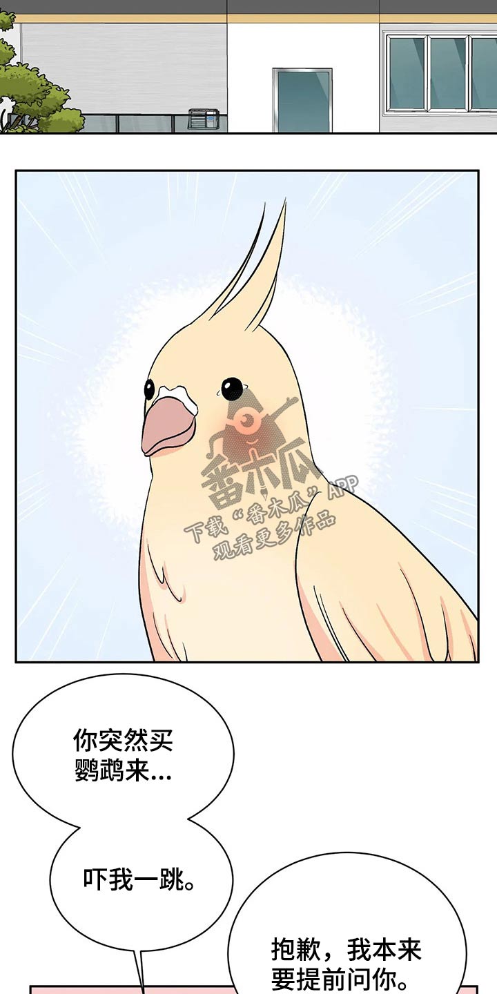 第30章：鹦鹉9
