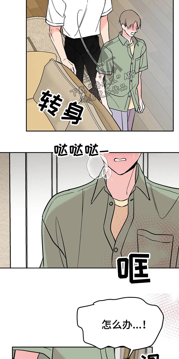 第31章：信息素11