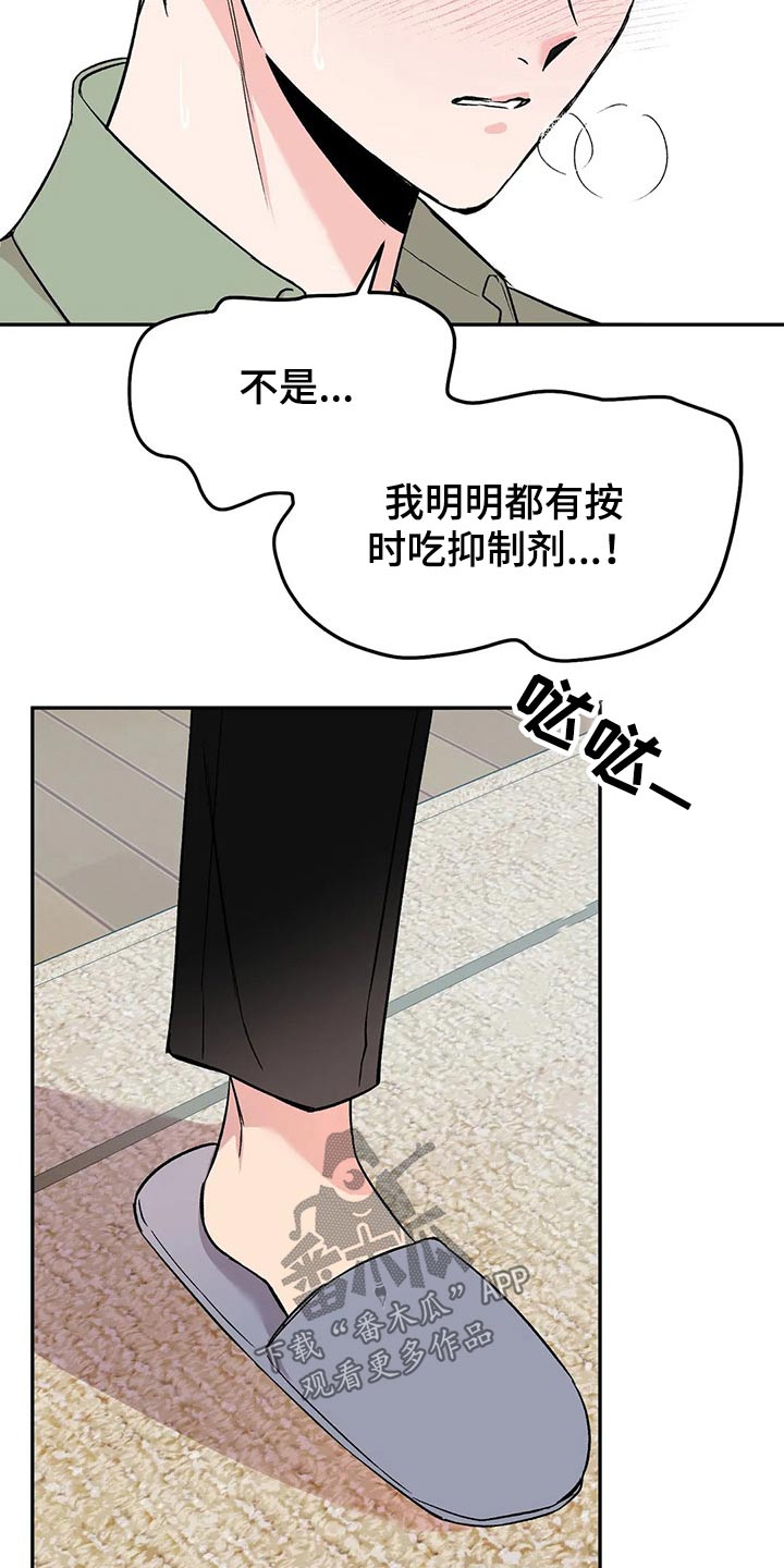 第30章：鹦鹉21
