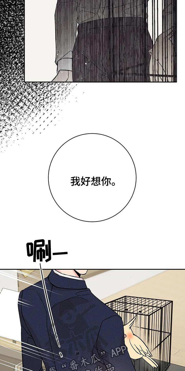 第61章：介绍朋友19