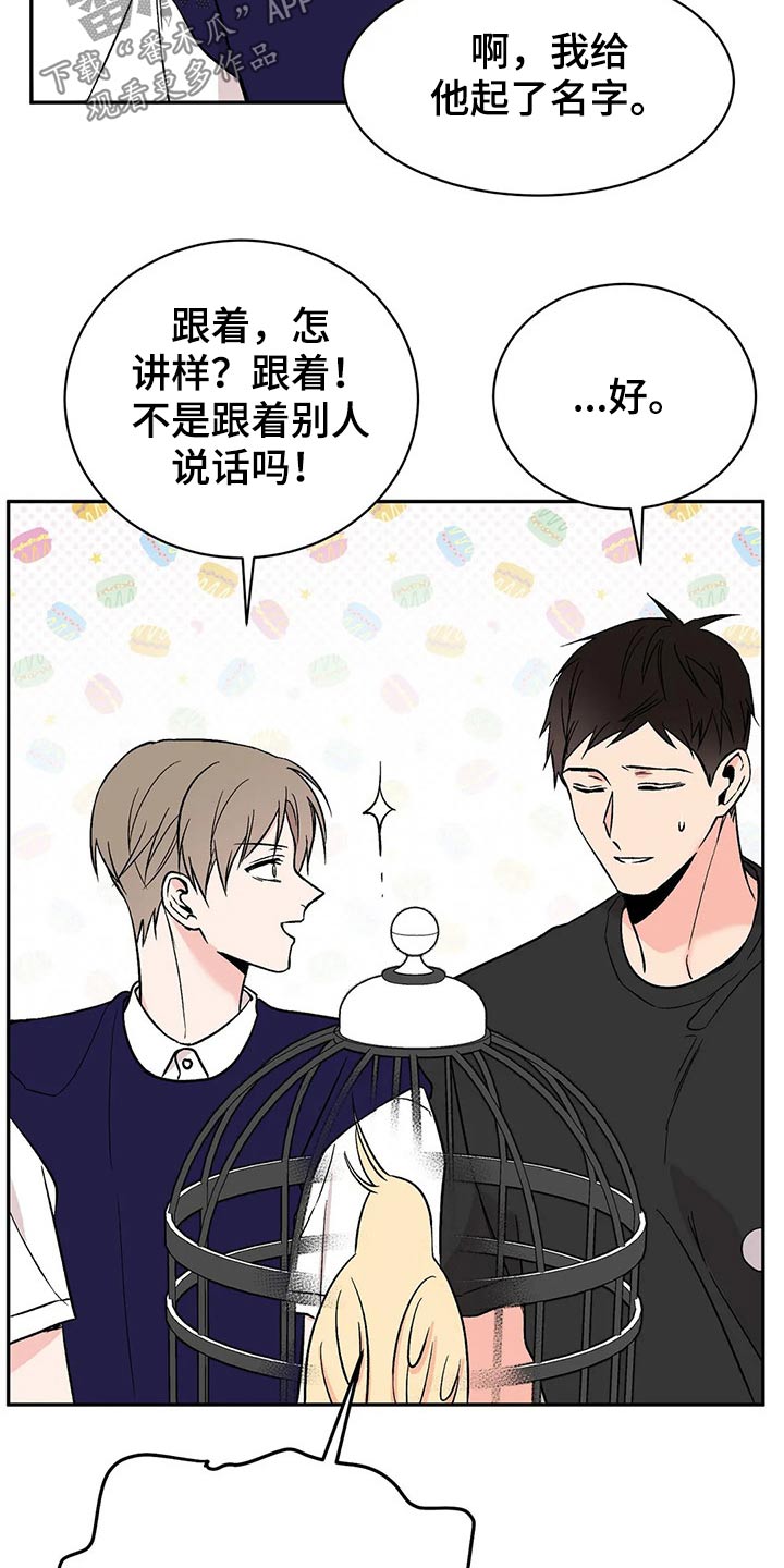 第30章：鹦鹉16