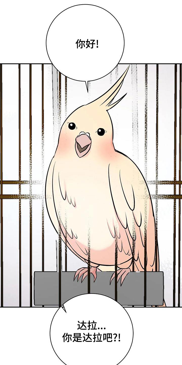 第61章：介绍朋友9