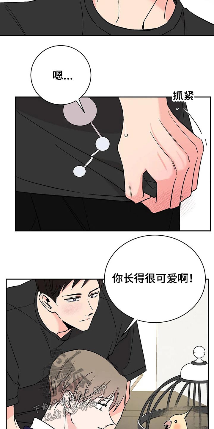 第30章：鹦鹉14