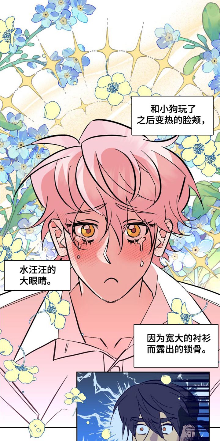 第20章：拼尽全力6
