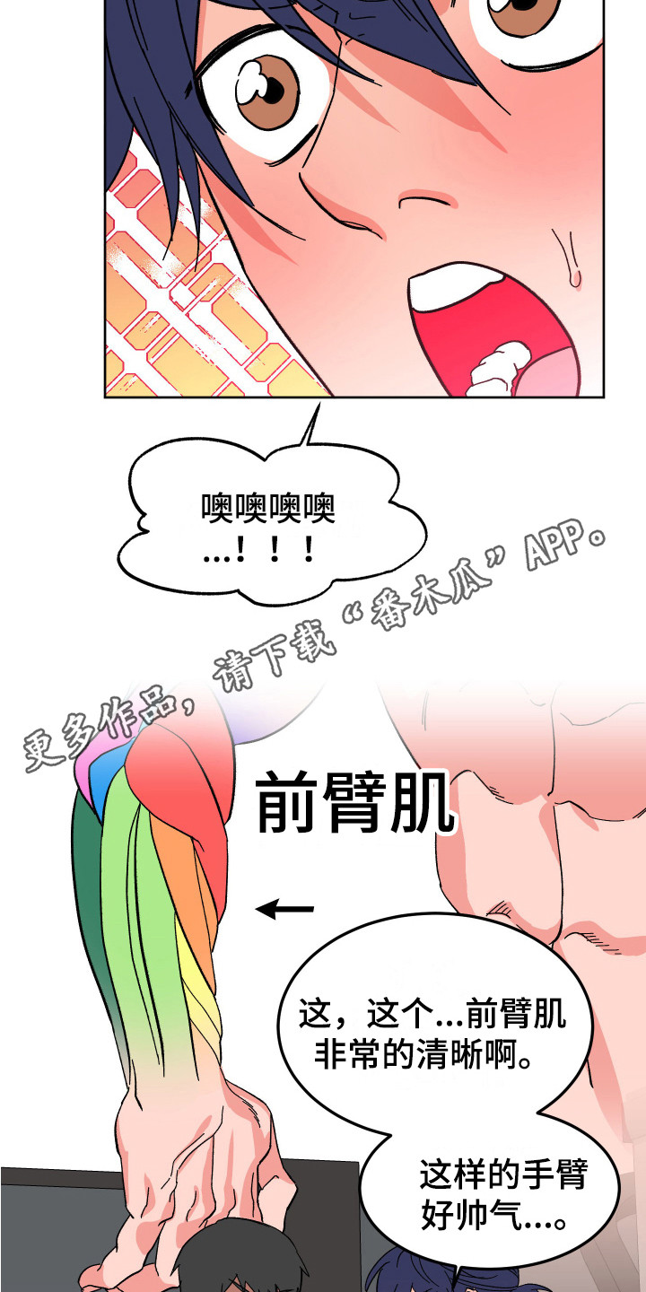 第5章：肌肉10