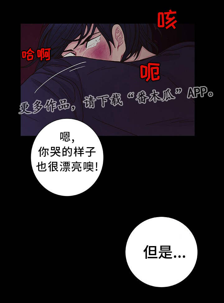 第22章：你是我的3