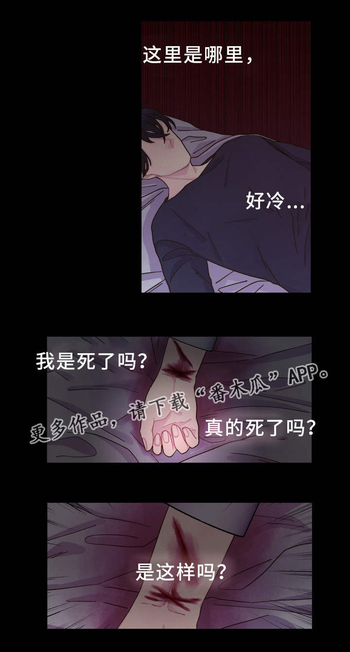 第29章：你知道的11