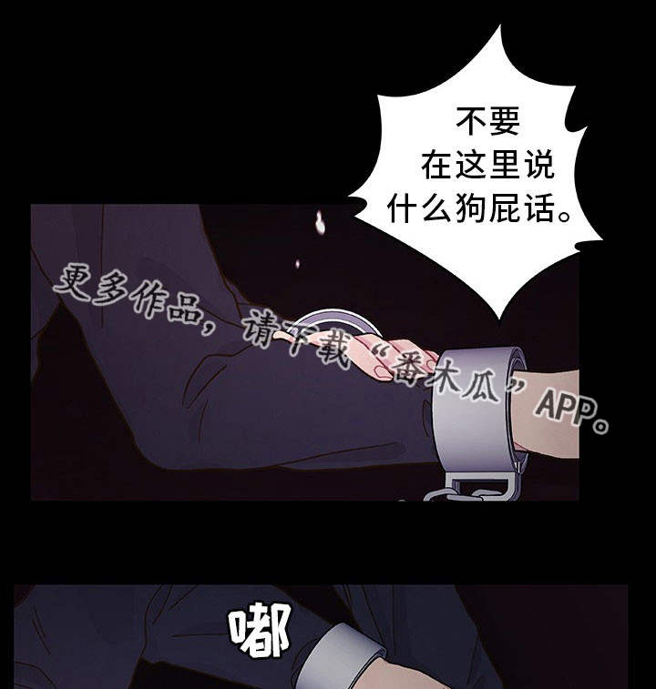 第21章：选择权利0
