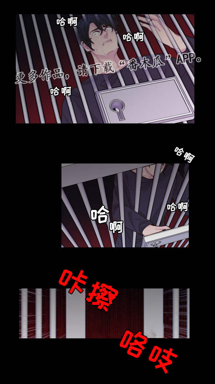 第30章：最后一次17