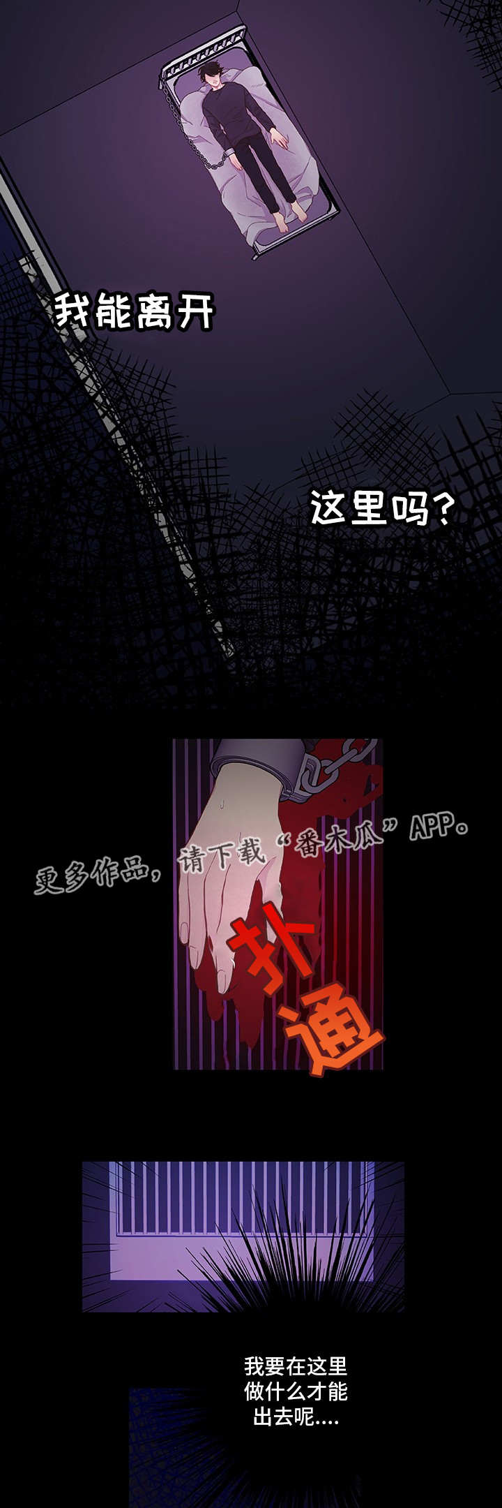 第11章：想要什么11