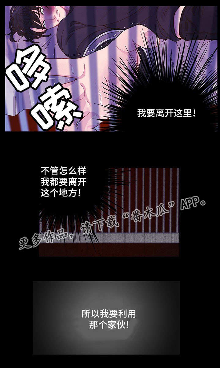 第11章：想要什么15