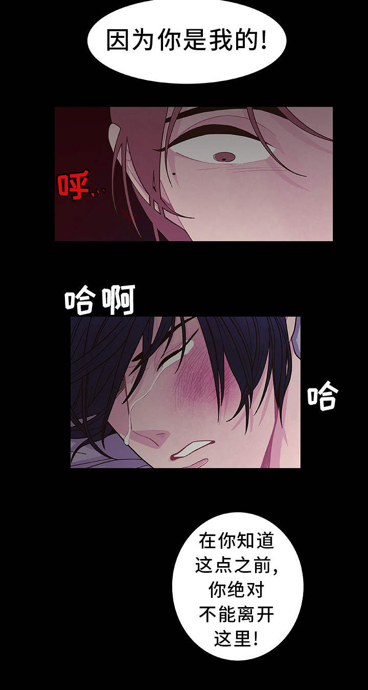 第22章：你是我的21