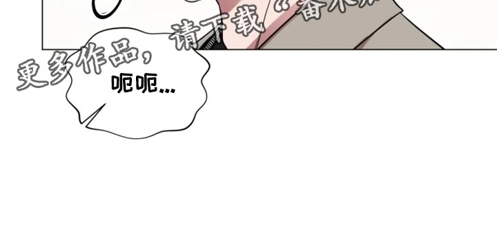 第68章：完美的计划17