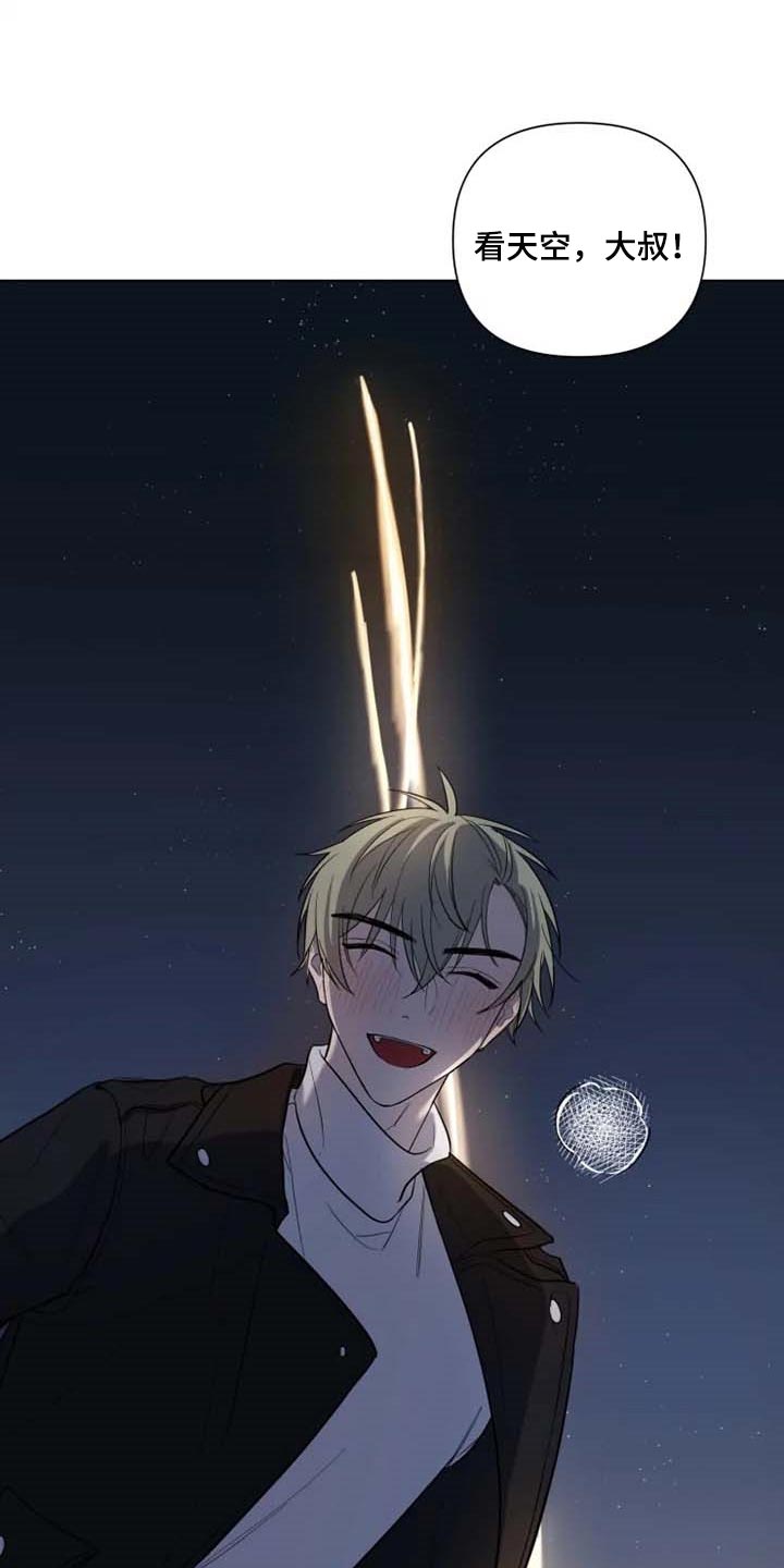 第52章：烟花14