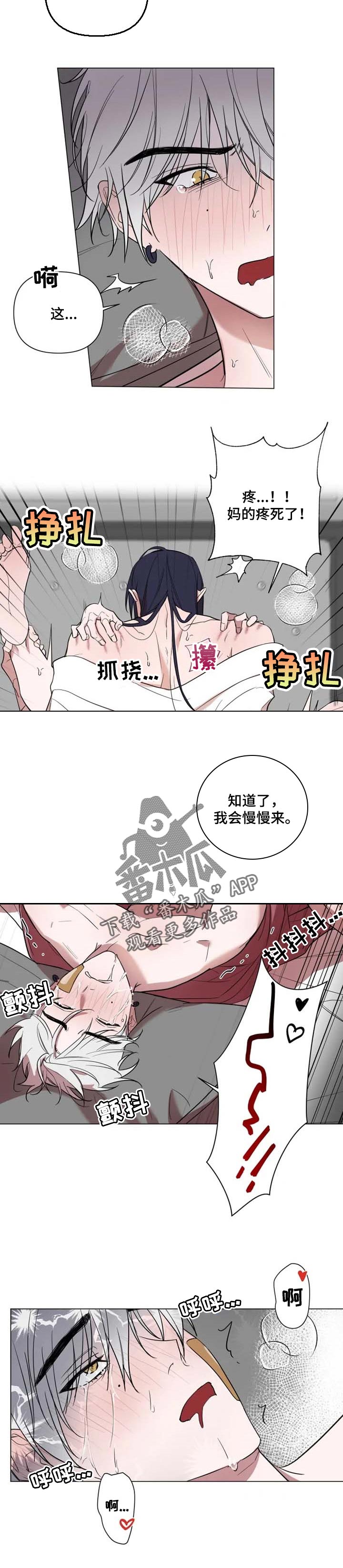 第48章：我爱你4