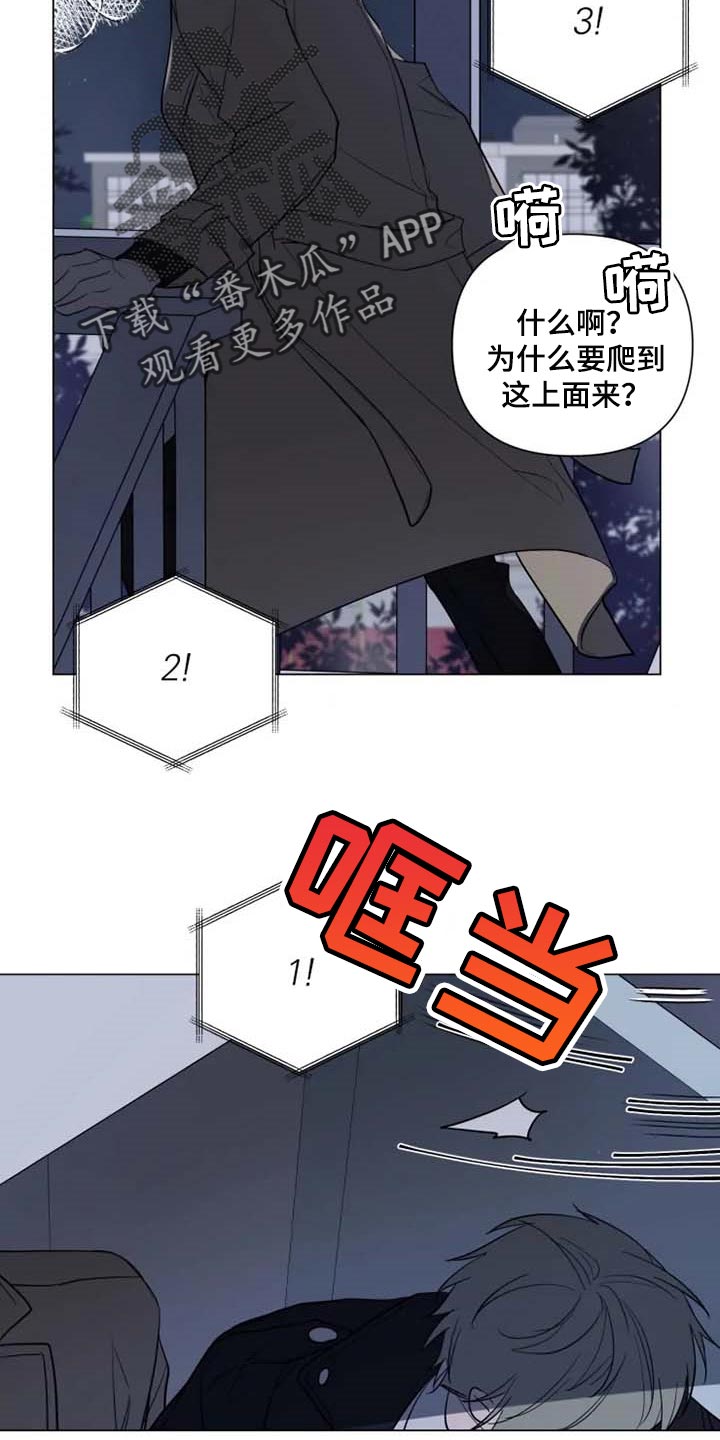 第52章：烟花13
