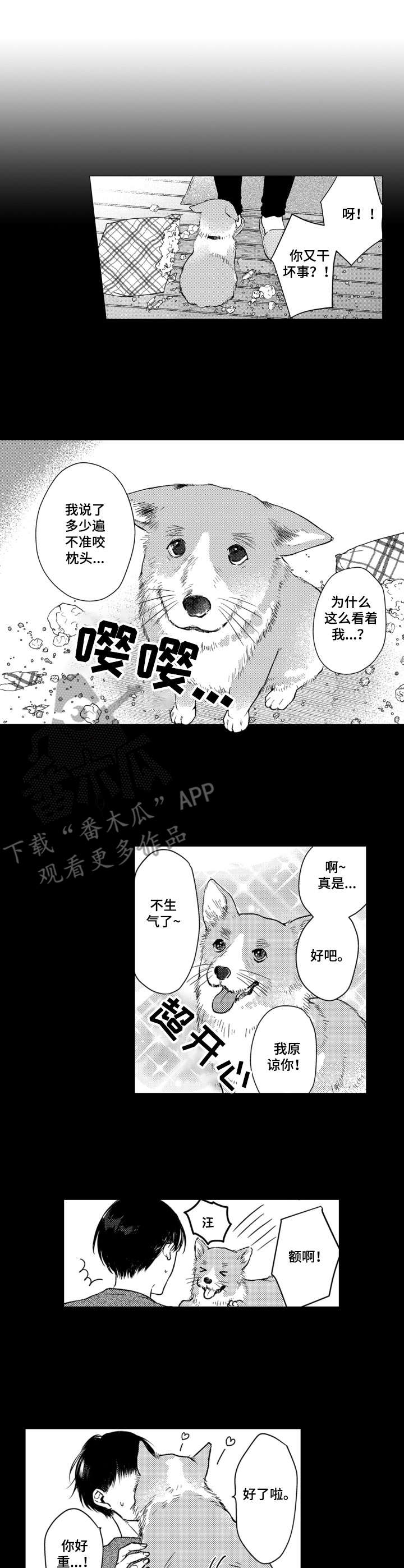 第7章：脑壳疼6