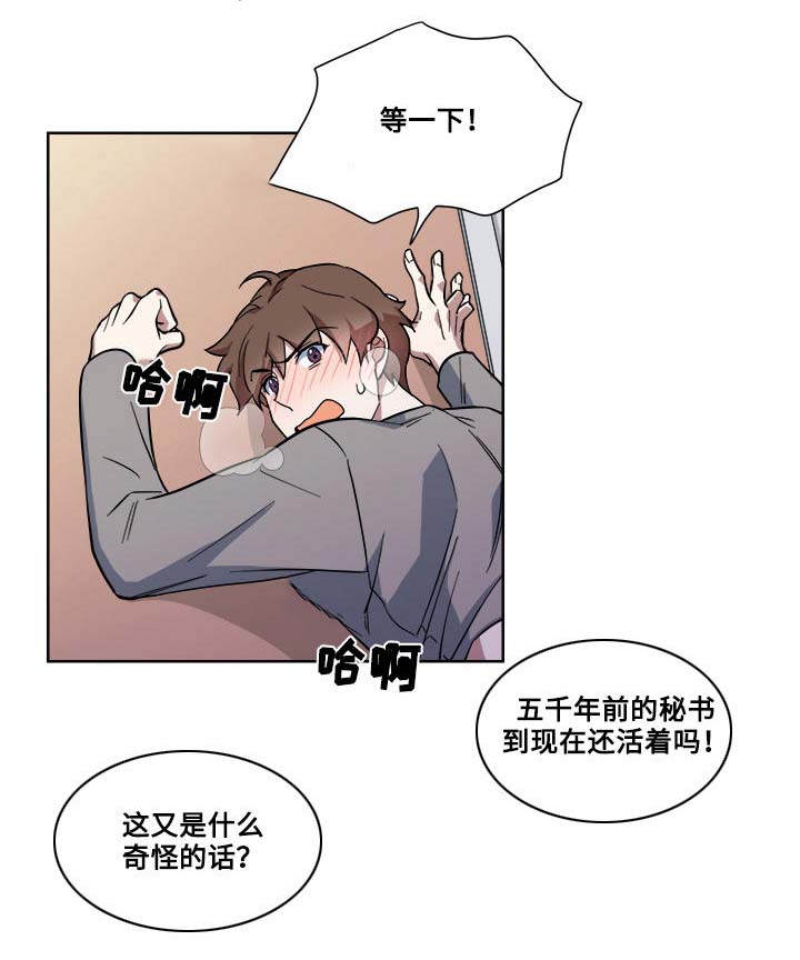 第16章：暴露6