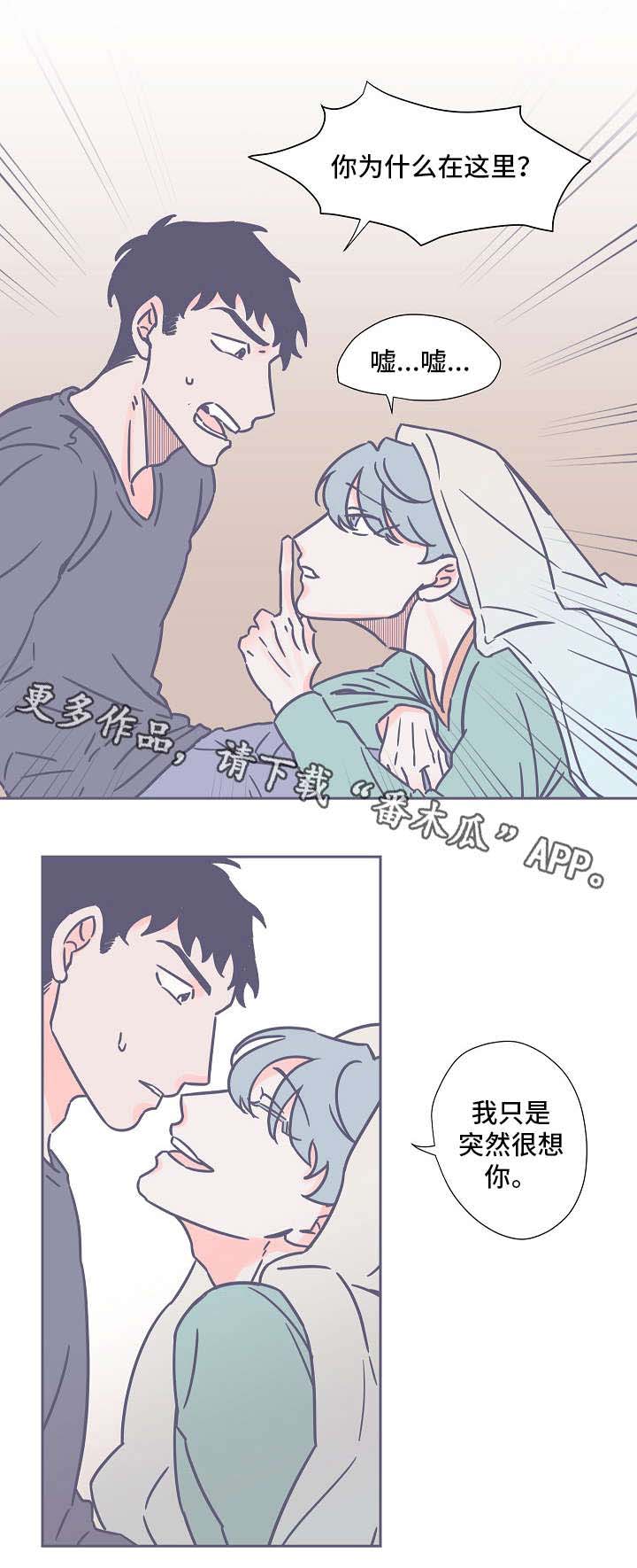 第27章：深夜突袭7
