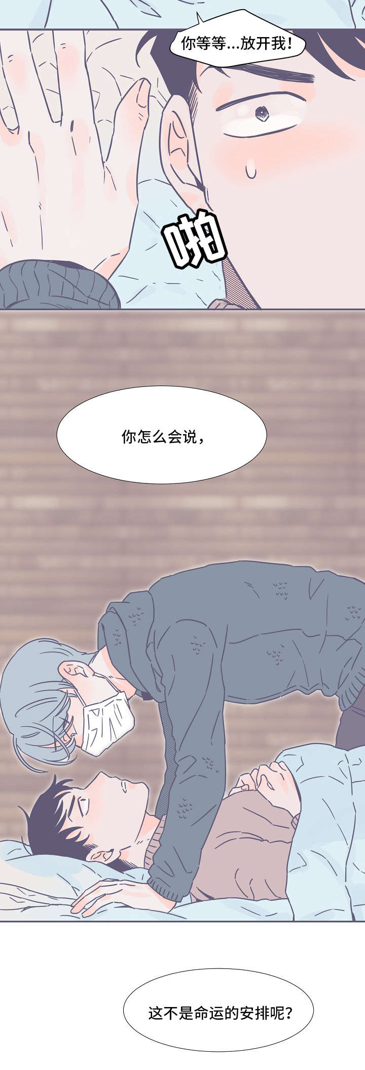 第2章：命运的安排11